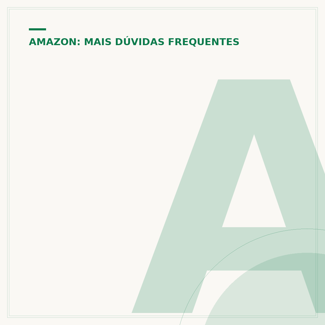 Amazon internacional: entrega no Brasil e como funciona
