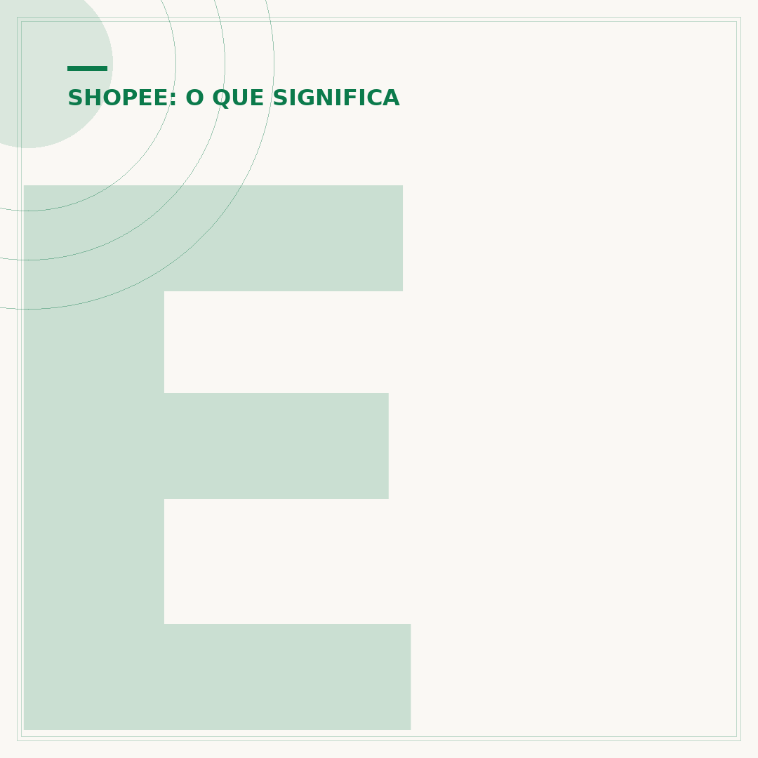 Envio expresso padrão Shopee: o que é e como funciona
