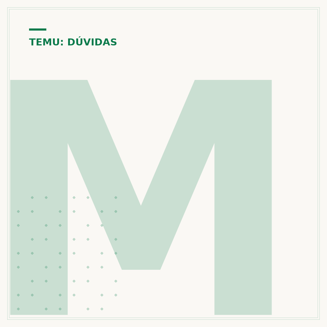 Modelo Temu: como funciona e o que você precisa saber