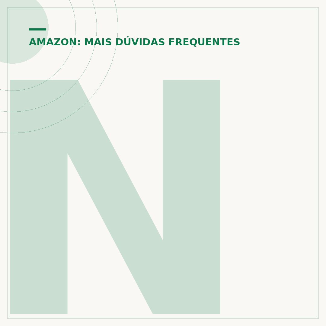 Não recebi produto Amazon: o que fazer e como resolver