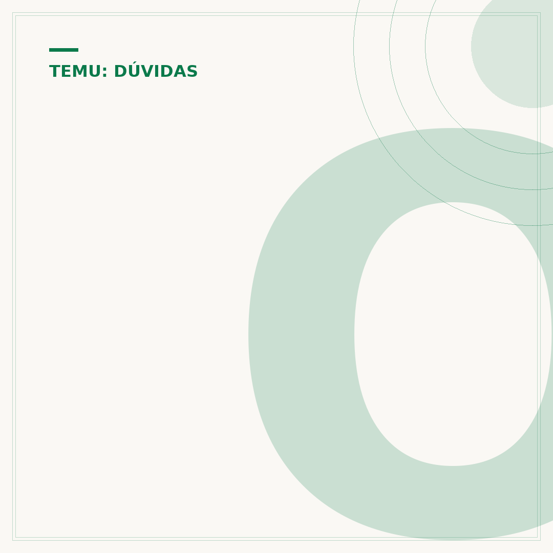 Origem da empresa Temu: como e quando surgiu?