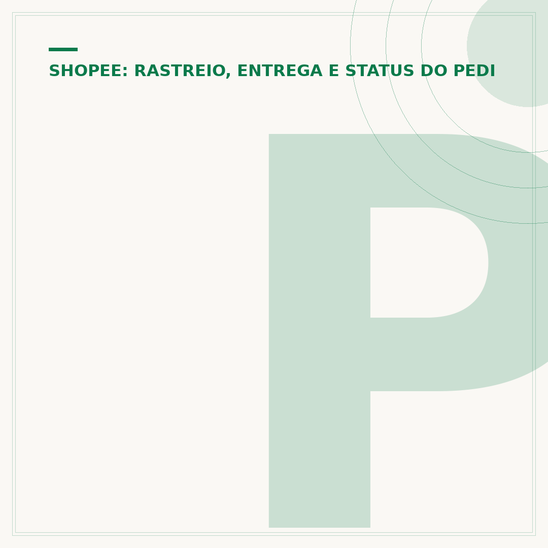 Pedido em rota de entrega na Shopee