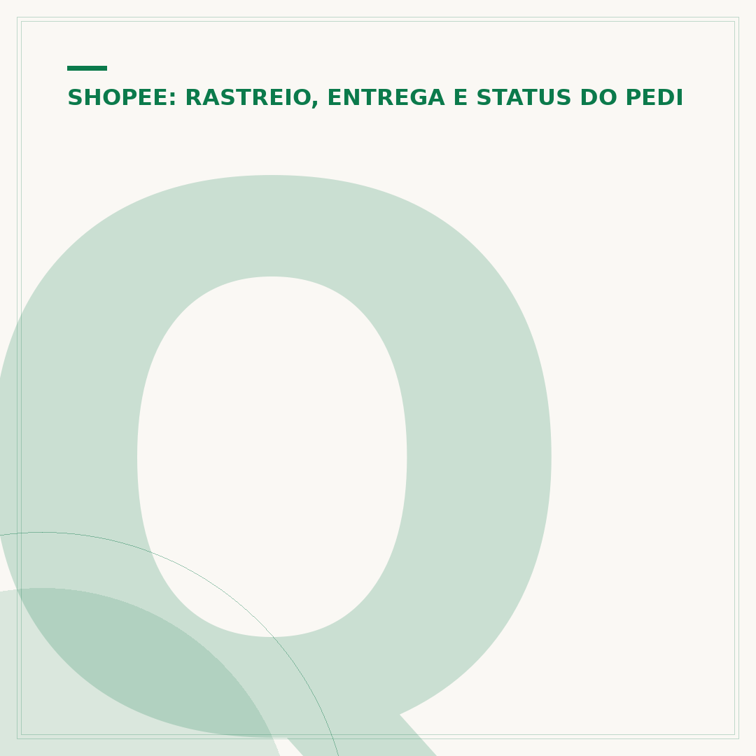 Quem realiza as entregas da Shopee: entenda as opções
