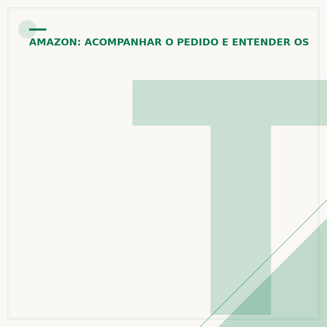TBR Transportadora Amazon: o que você precisa saber