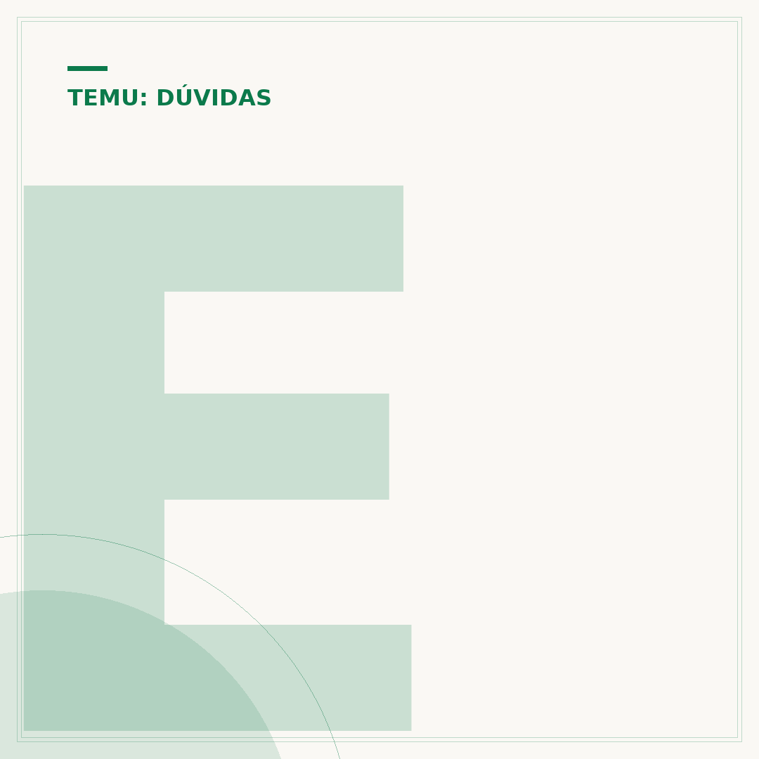 Entenda a participação de mercado da Temu nos EUA