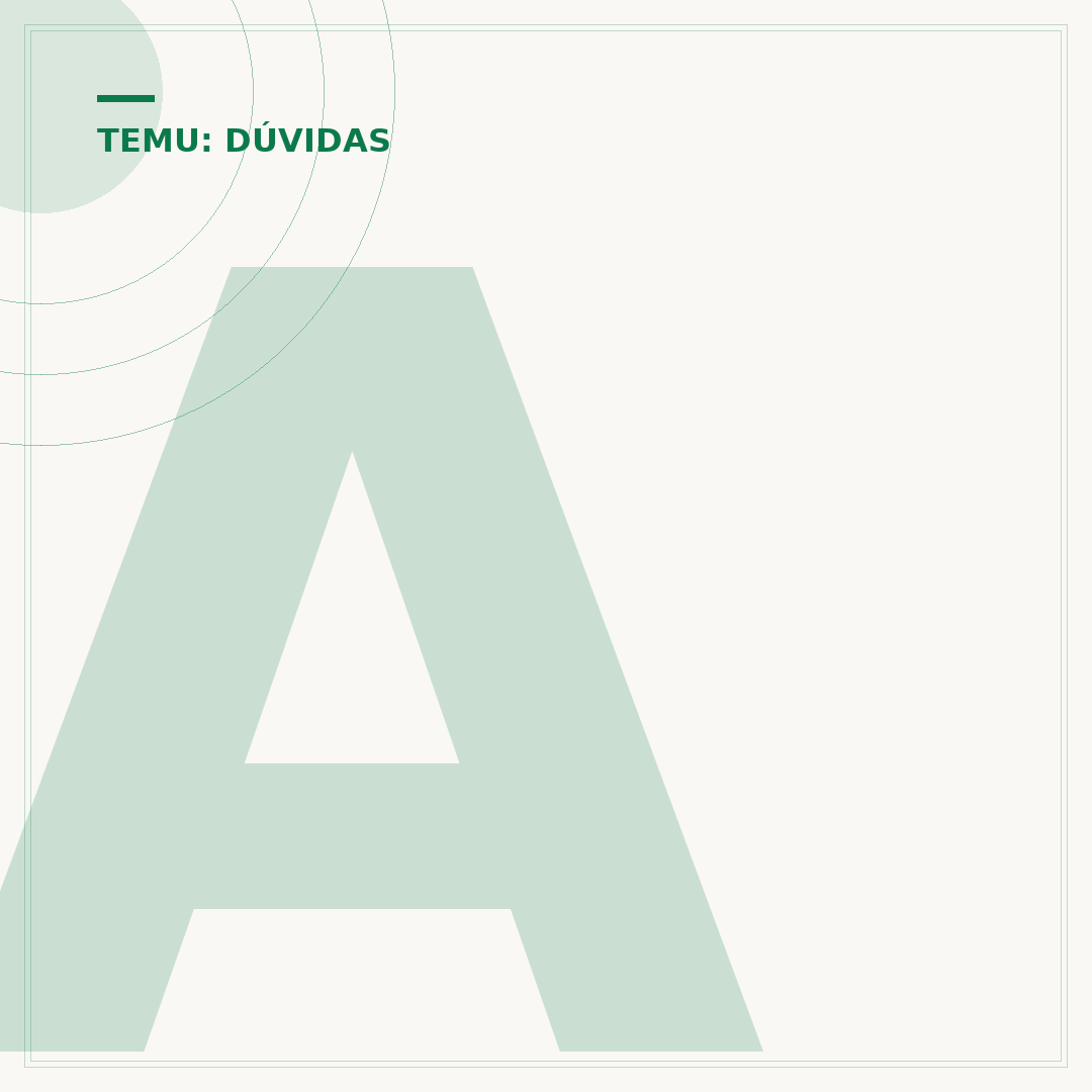 A Temu paga imposto?