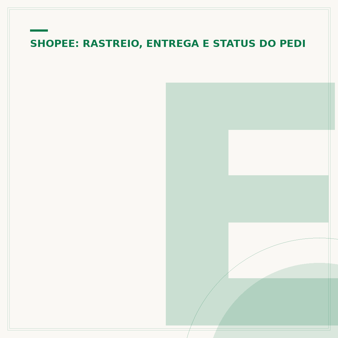 Expresso padrão Shopee: qual transportadora faz a entrega?