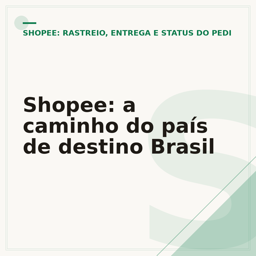 Shopee: a caminho do país de destino Brasil