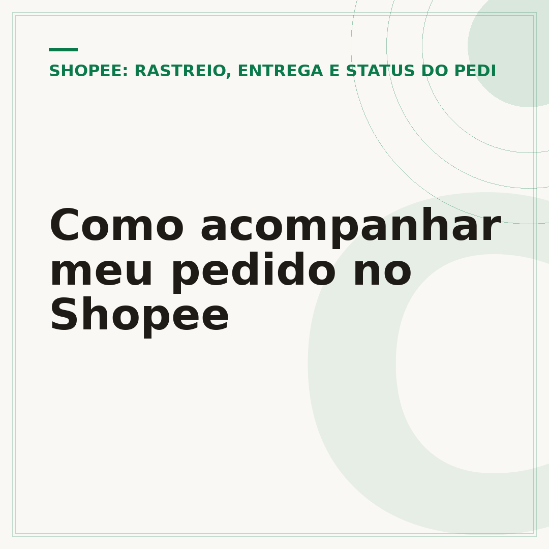 Como acompanhar meu pedido no Shopee