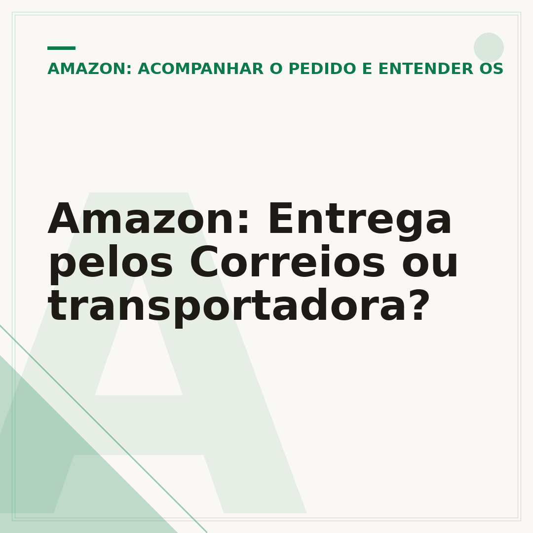 Amazon: Entrega pelos Correios ou transportadora?