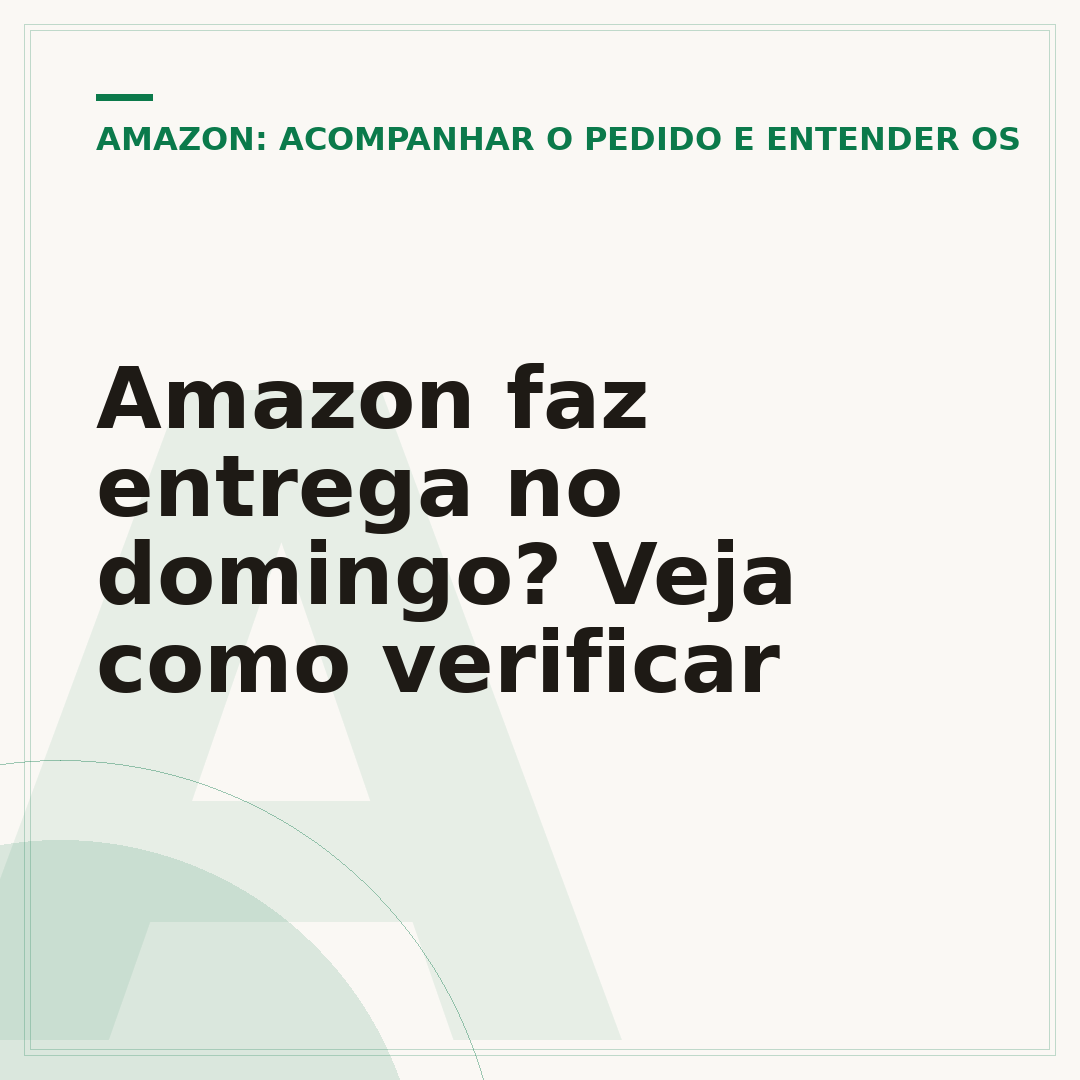 Amazon faz entrega no domingo? Veja como verificar