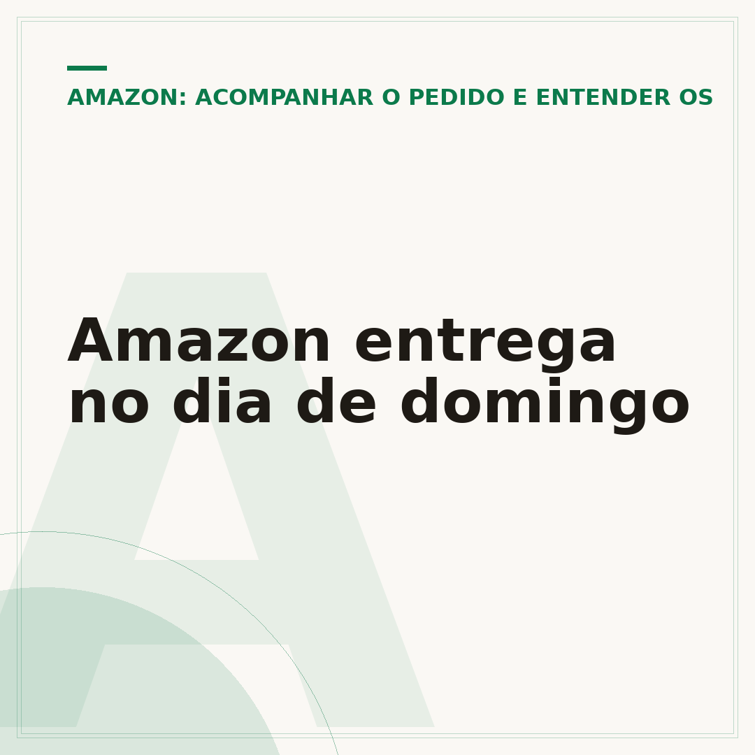 Amazon entrega no dia de domingo