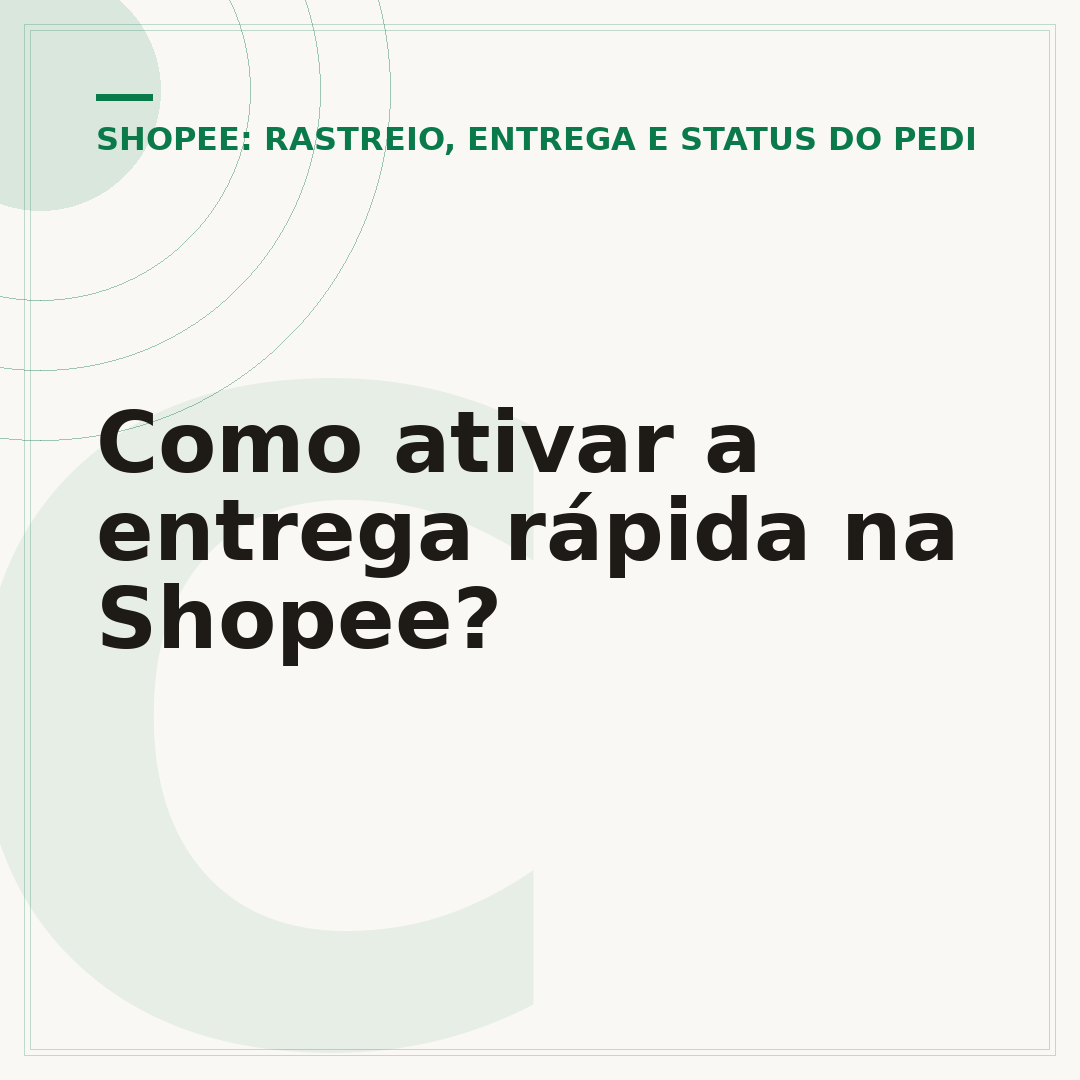 Como ativar a entrega rápida na Shopee?
