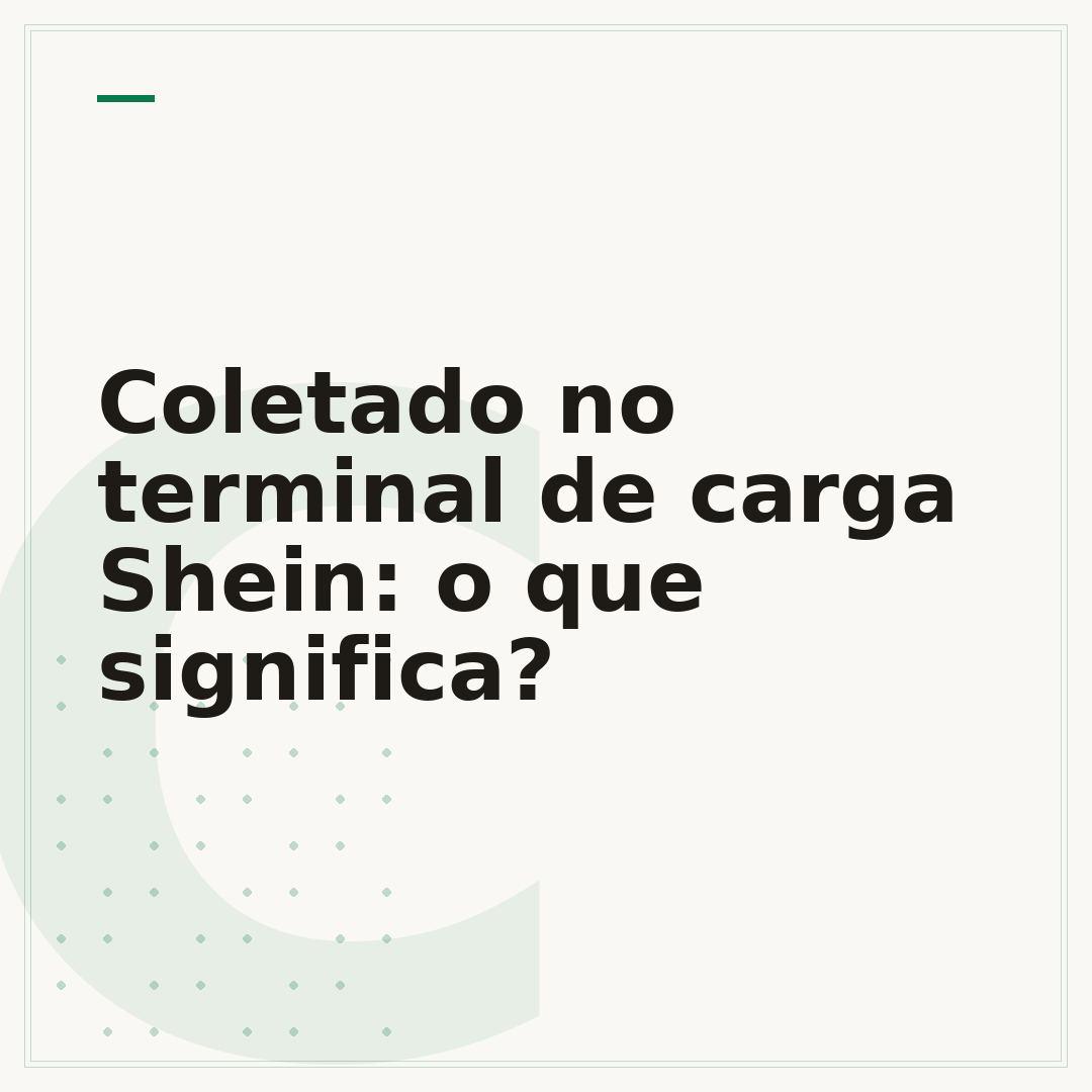 Coletado no terminal de carga Shein: o que significa?