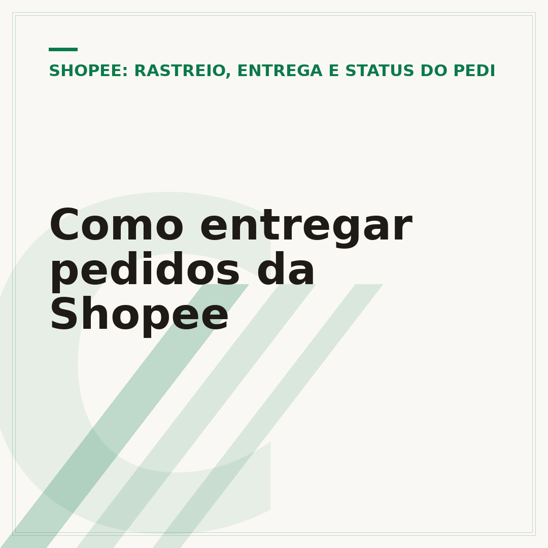 Como entregar pedidos da Shopee