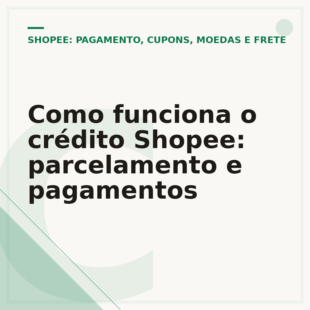 Como funciona o crédito Shopee: parcelamento e pagamentos
