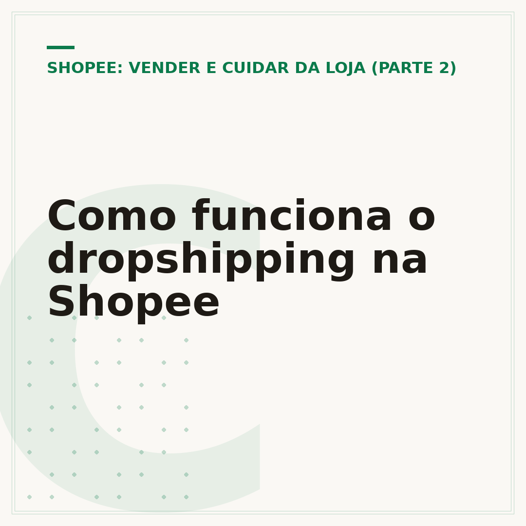 Como funciona o dropshipping na Shopee