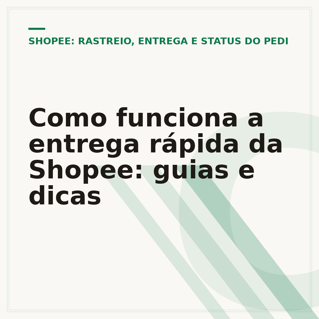 Como funciona a entrega rápida da Shopee: guias e dicas