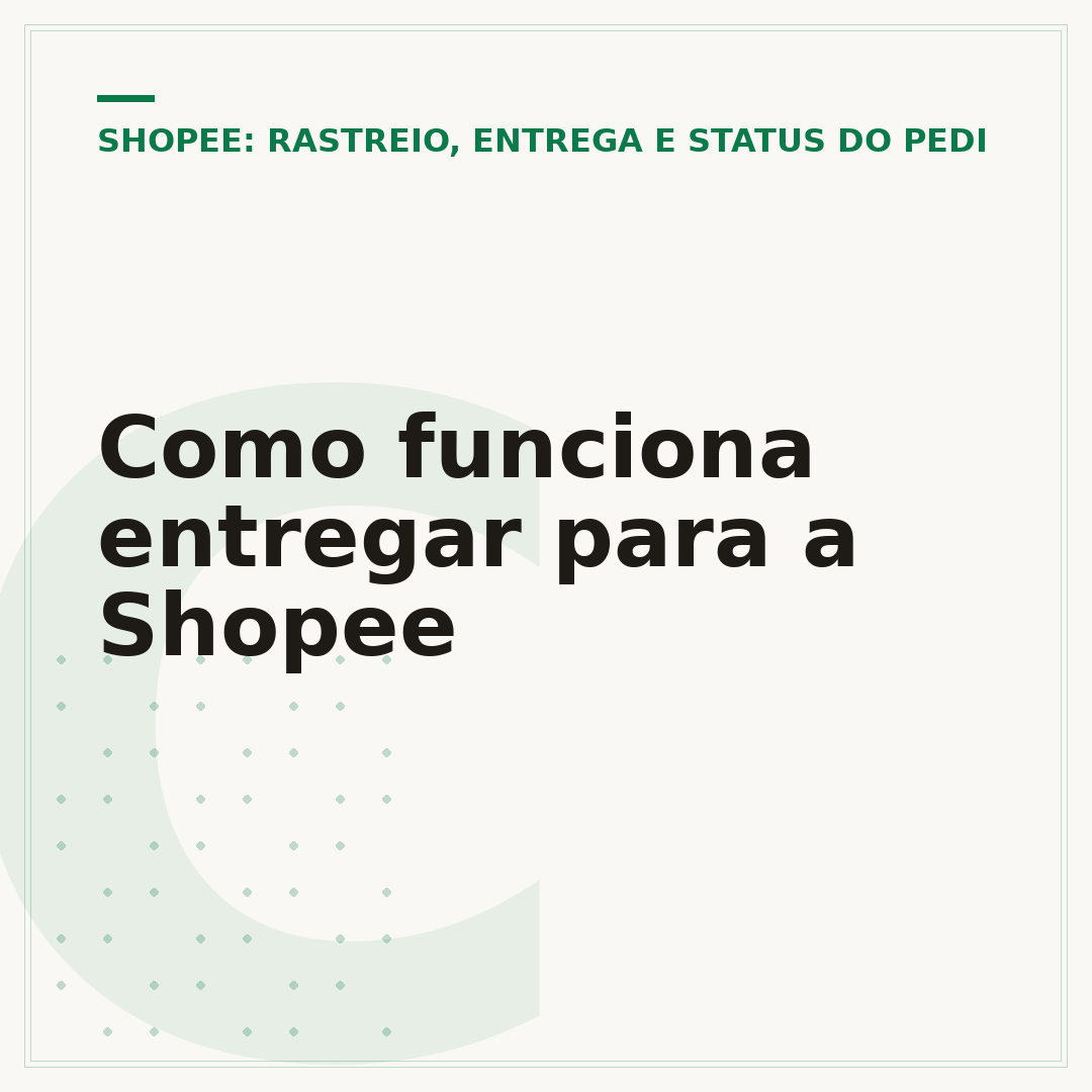 Como funciona entregar para a Shopee