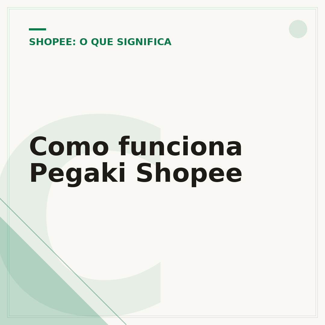 Como funciona Pegaki Shopee