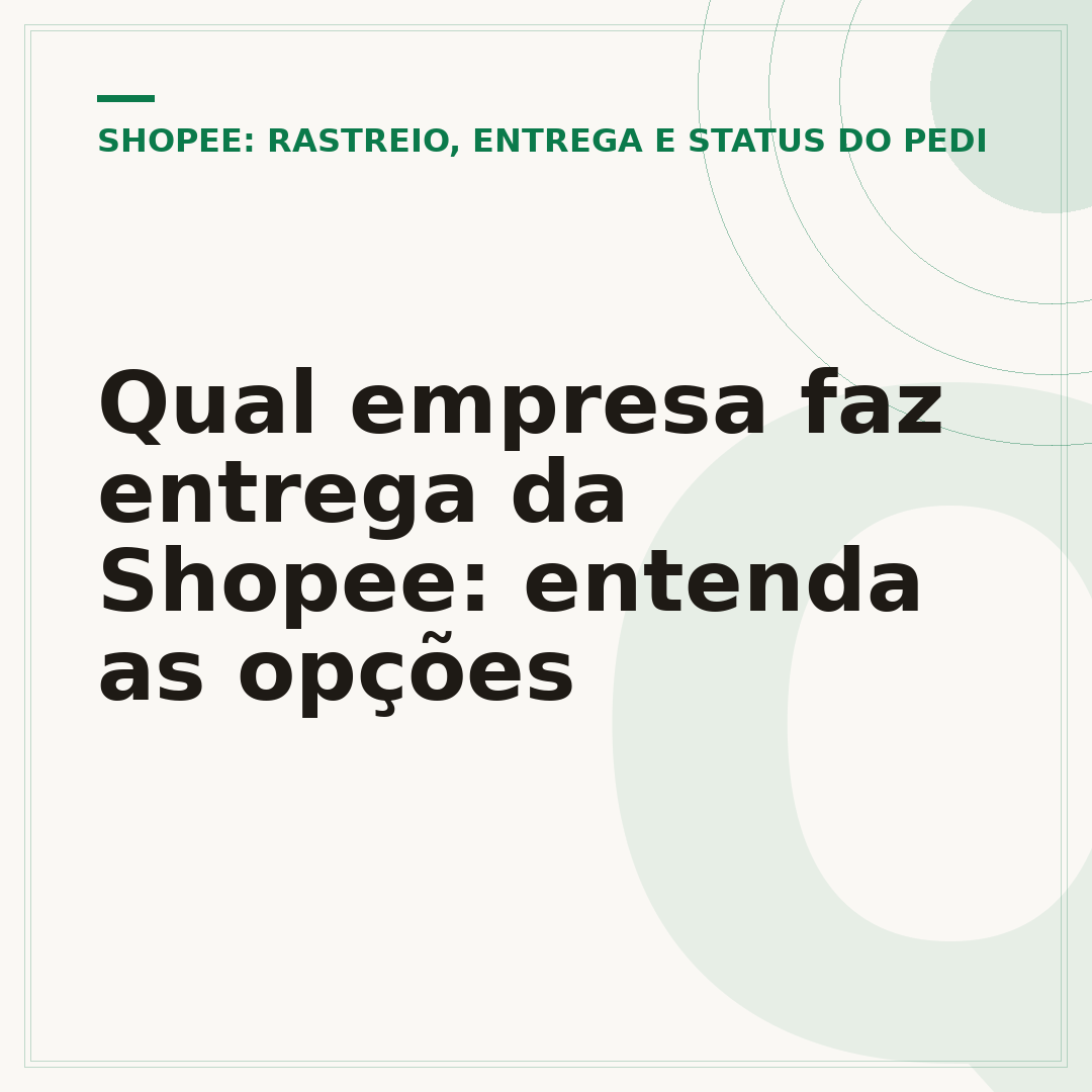 Qual empresa faz entrega da Shopee: entenda as opções