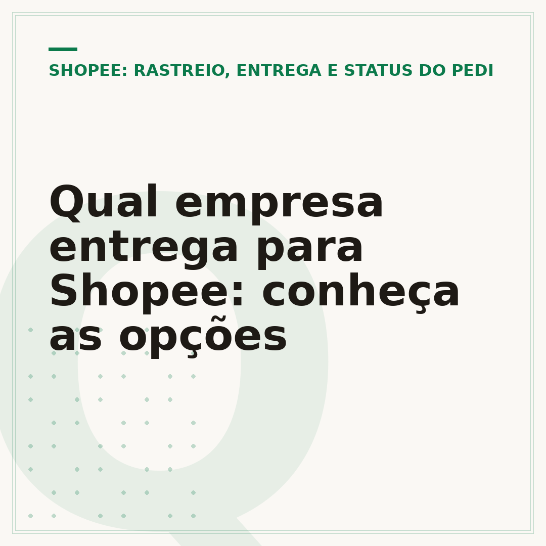 Qual empresa entrega para Shopee: conheça as opções