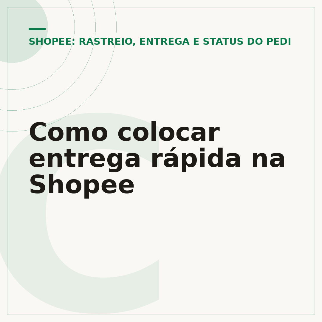 Como colocar entrega rápida na Shopee