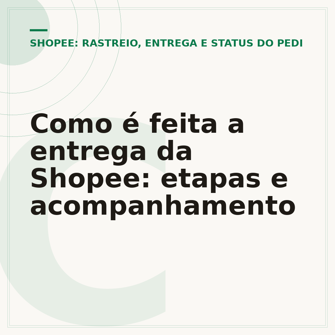 Como é feita a entrega da Shopee: etapas e acompanhamento