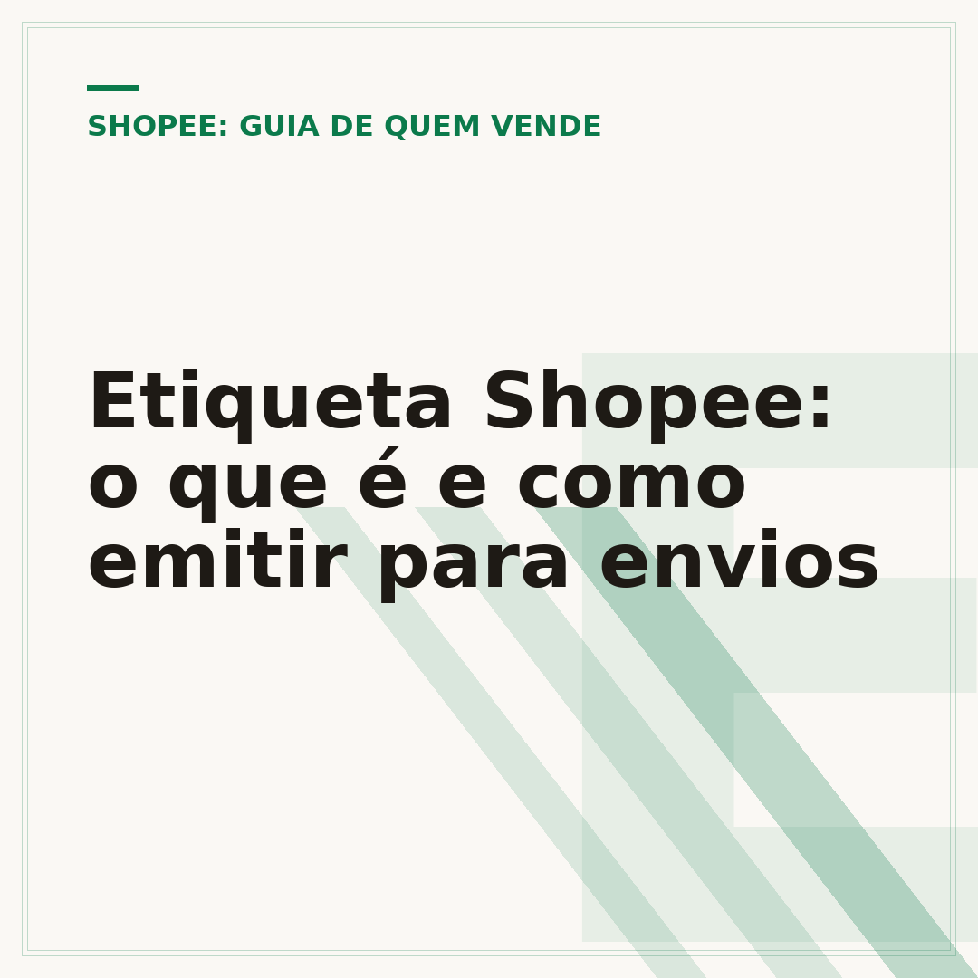 Etiqueta Shopee: o que é e como emitir para envios