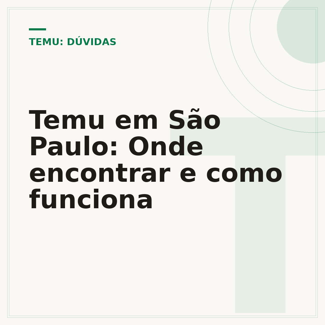 Temu em São Paulo: Onde encontrar e como funciona