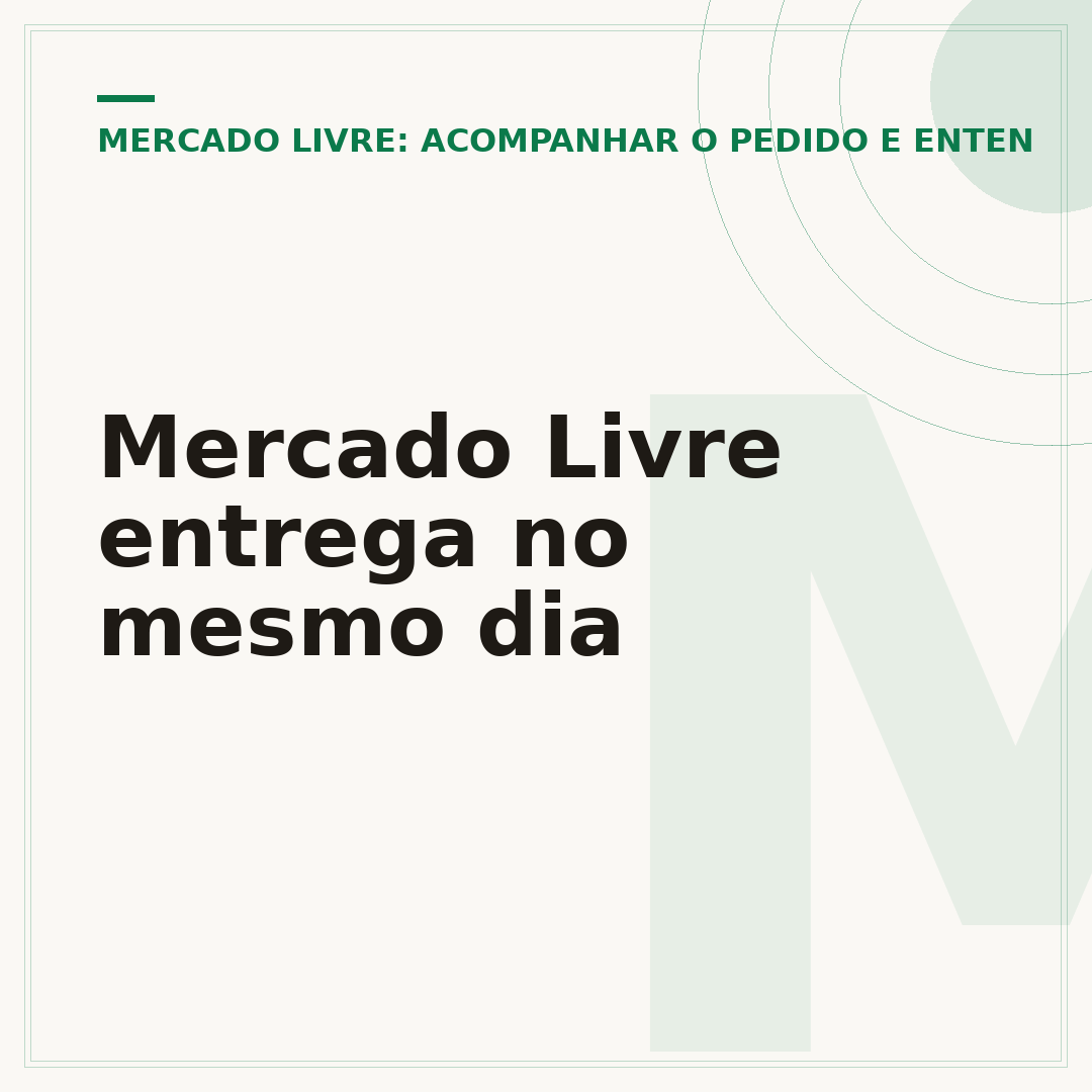 Mercado Livre entrega no mesmo dia