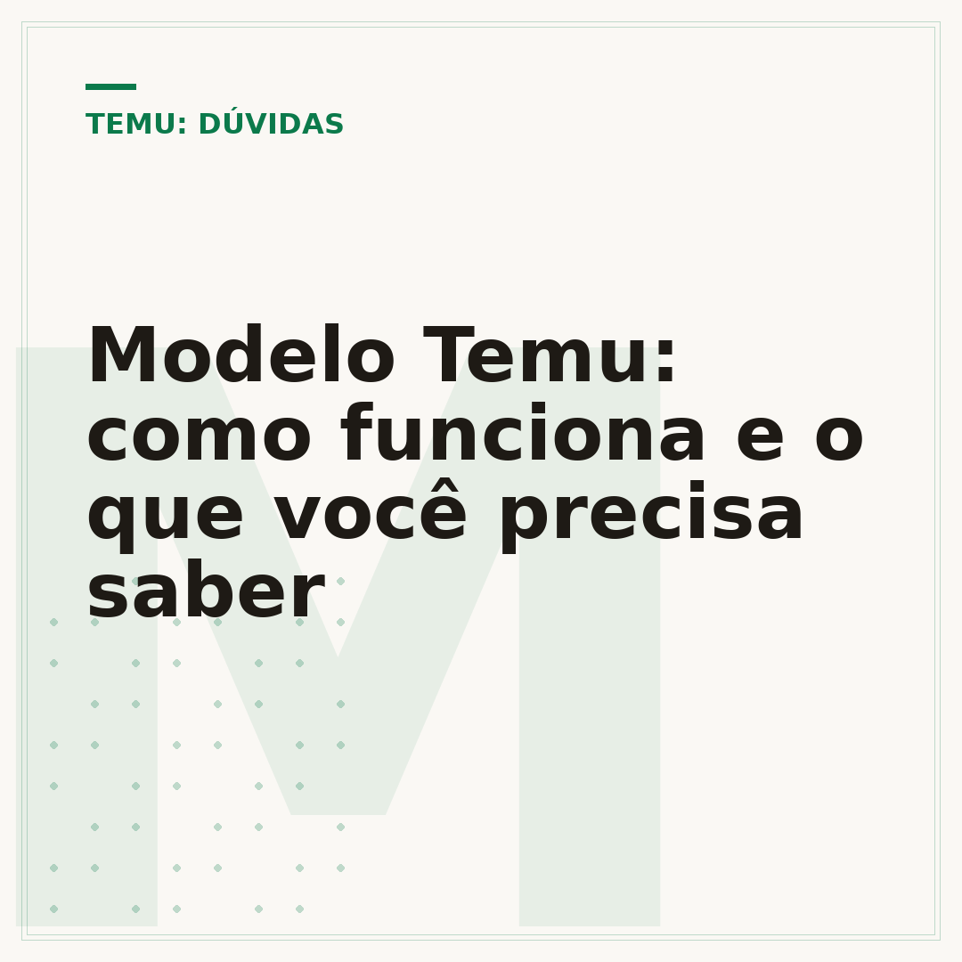 Modelo Temu: como funciona e o que você precisa saber