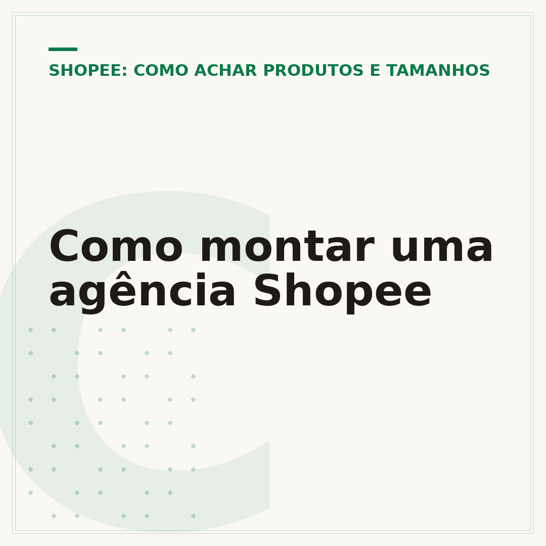 Como montar uma agência Shopee