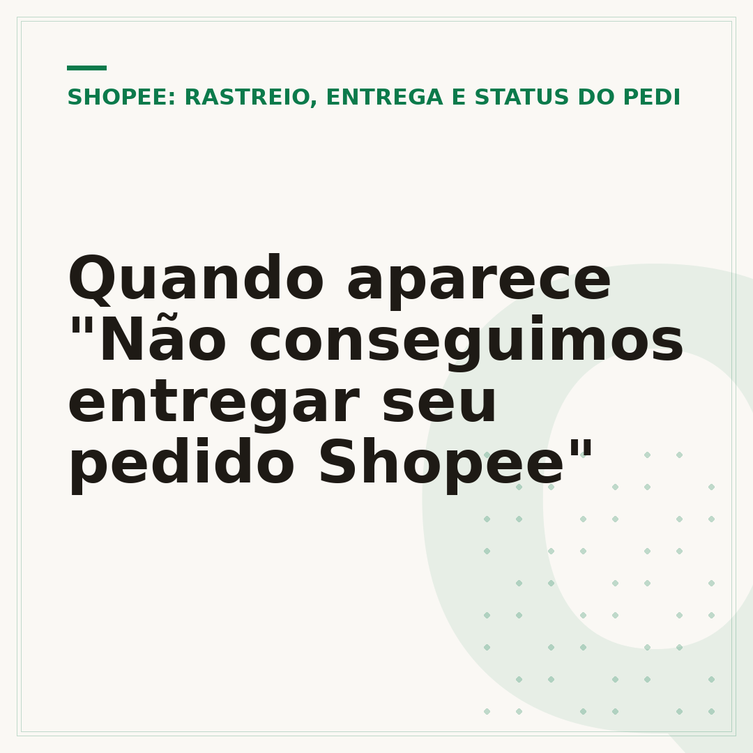 Quando aparece "Não conseguimos entregar seu pedido Shopee"