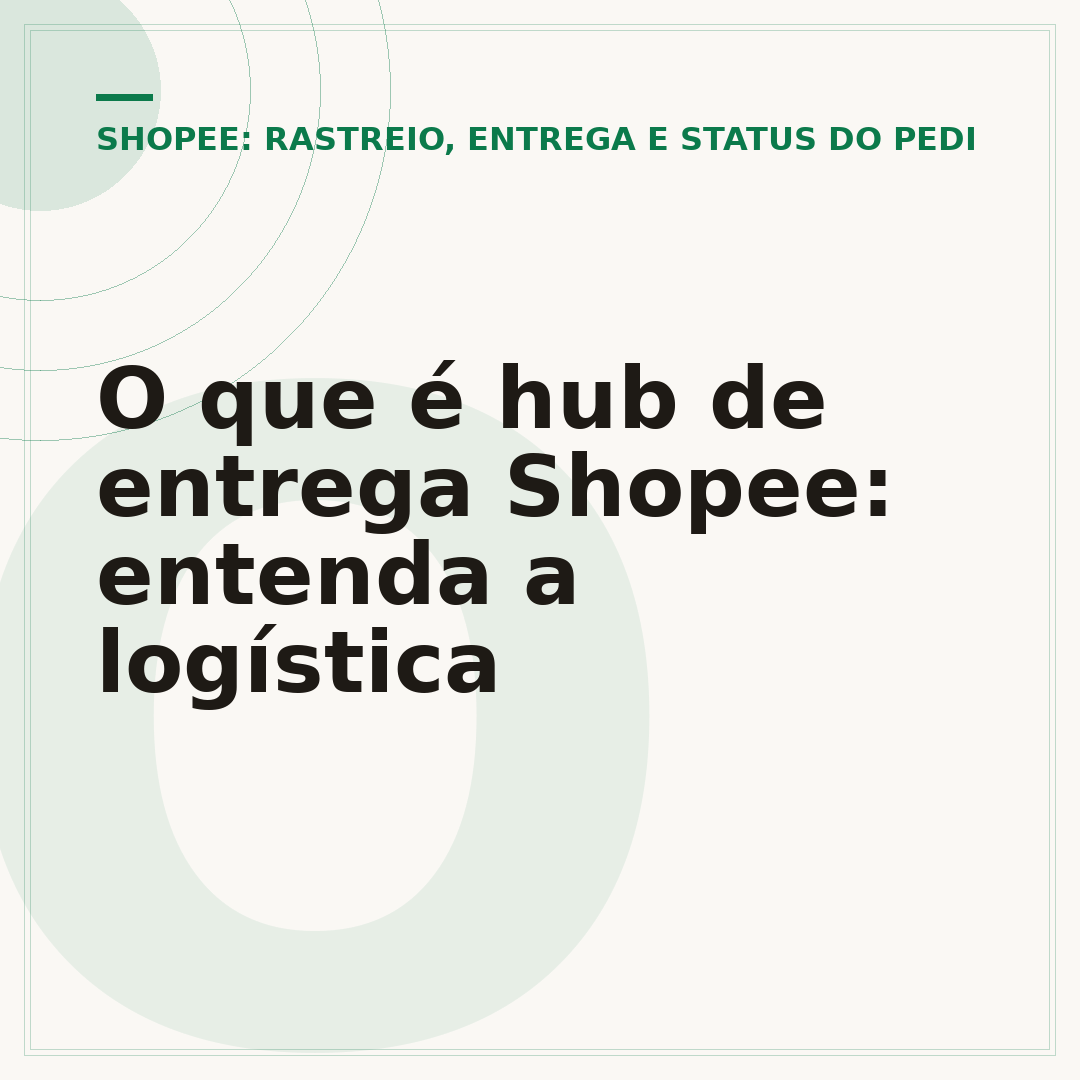 O que é hub de entrega Shopee: entenda a logística
