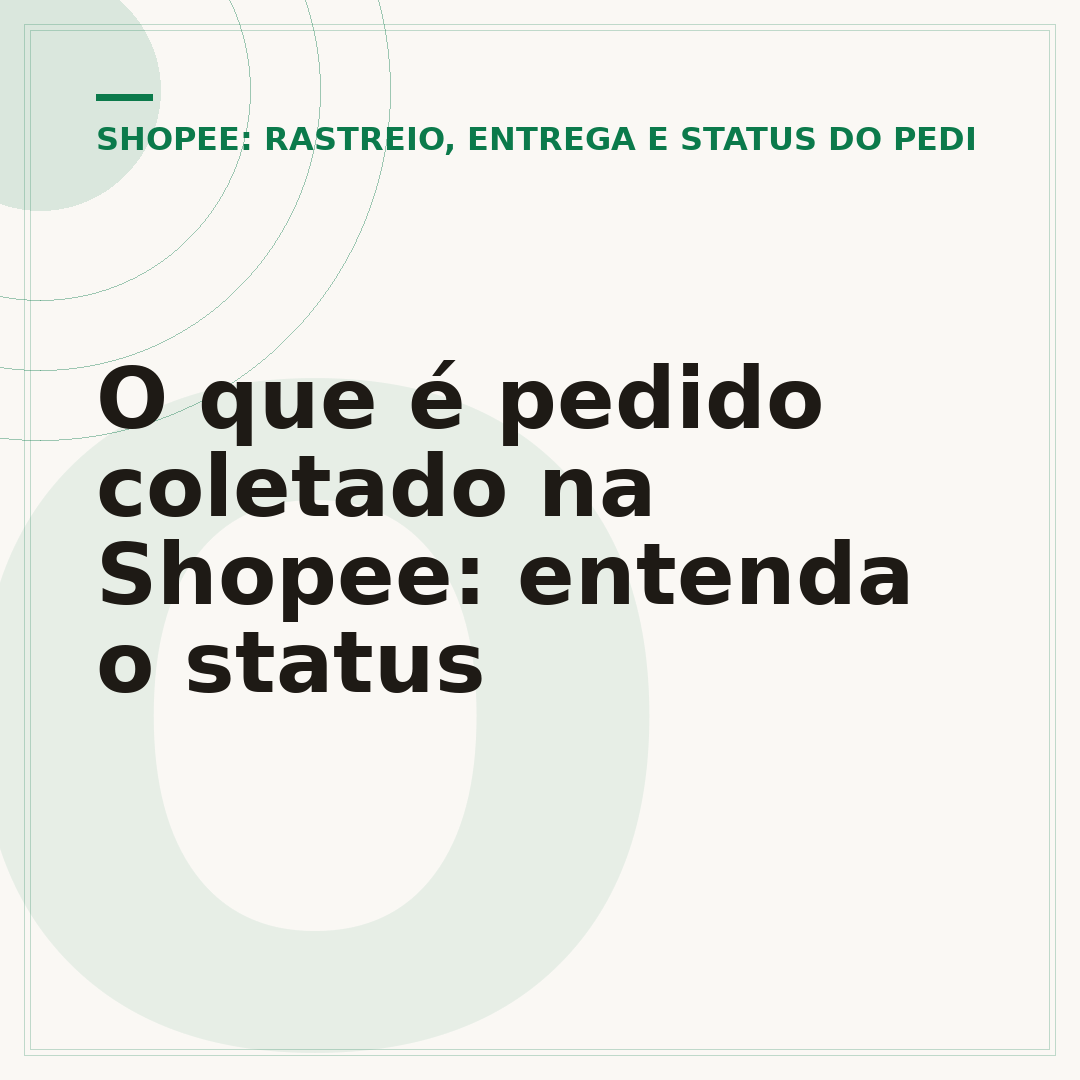 O que é pedido coletado na Shopee: entenda o status