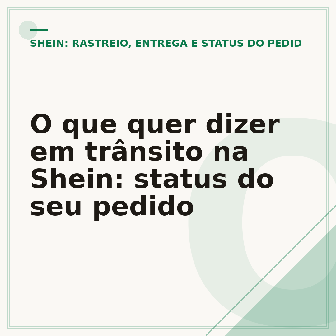 O que quer dizer em trânsito na Shein: status do seu pedido