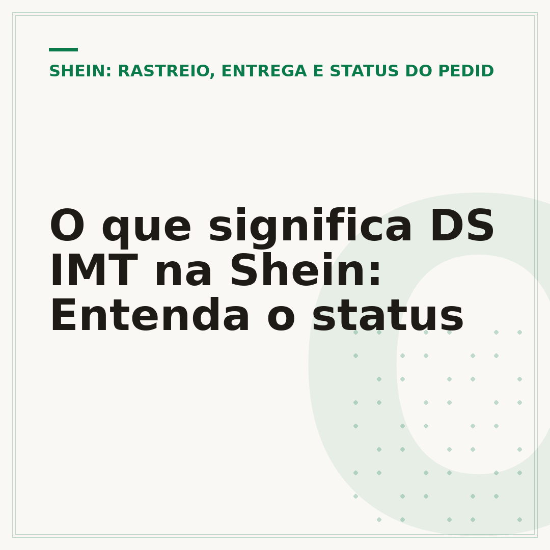 O que significa DS IMT na Shein: Entenda o status