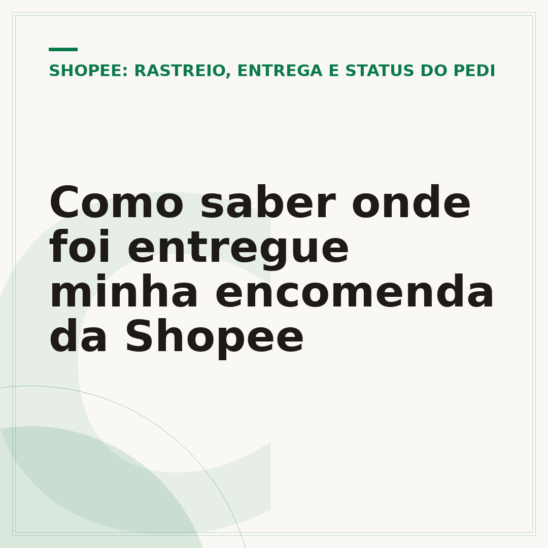 Como saber onde foi entregue minha encomenda da Shopee