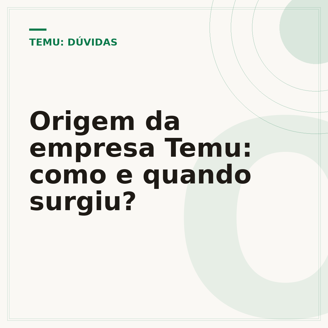 Origem da empresa Temu: como e quando surgiu?