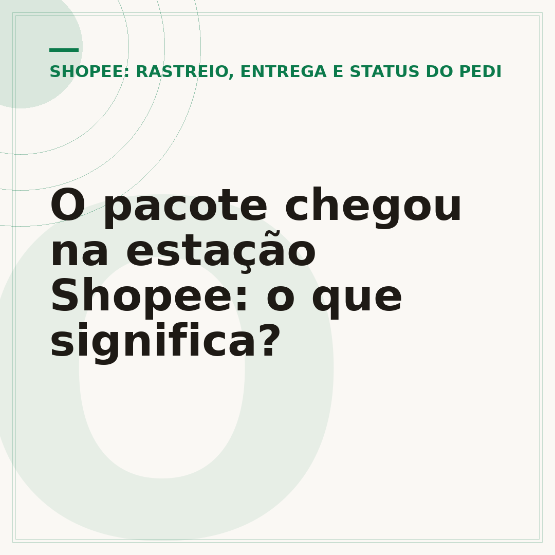 O pacote chegou na estação Shopee: o que significa?