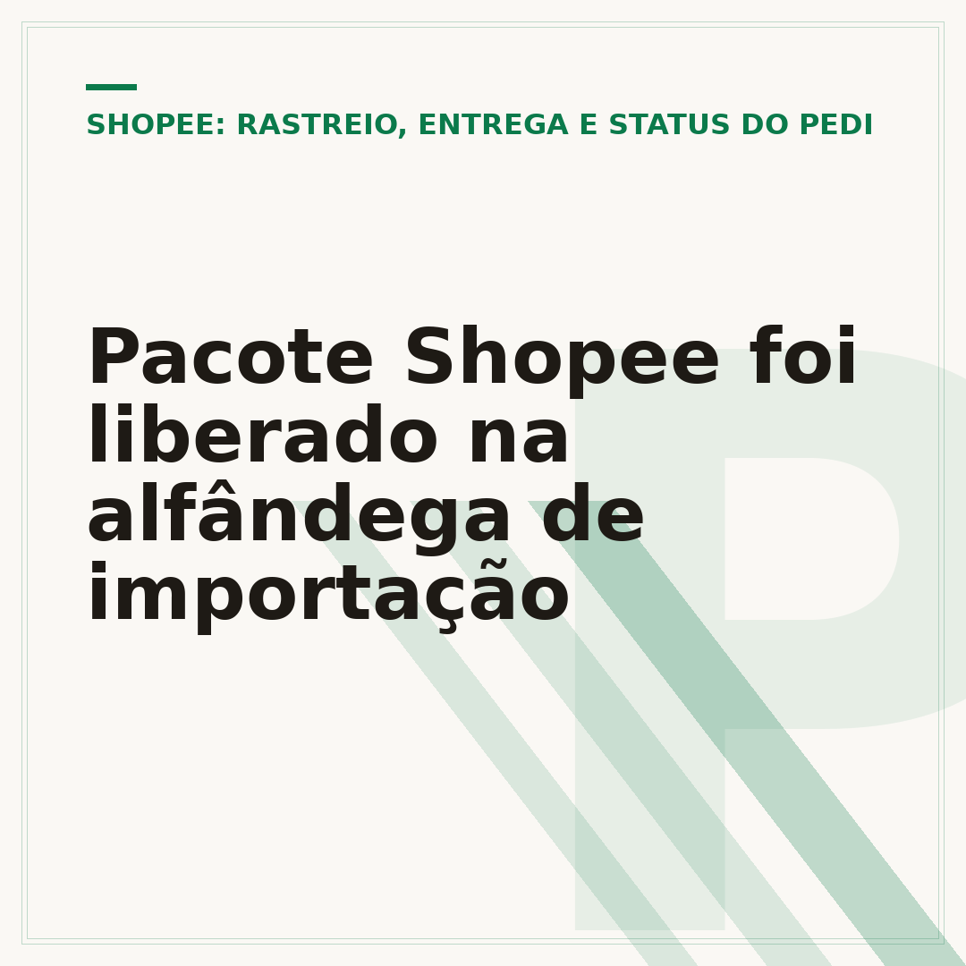 Pacote Shopee foi liberado na alfândega de importação
