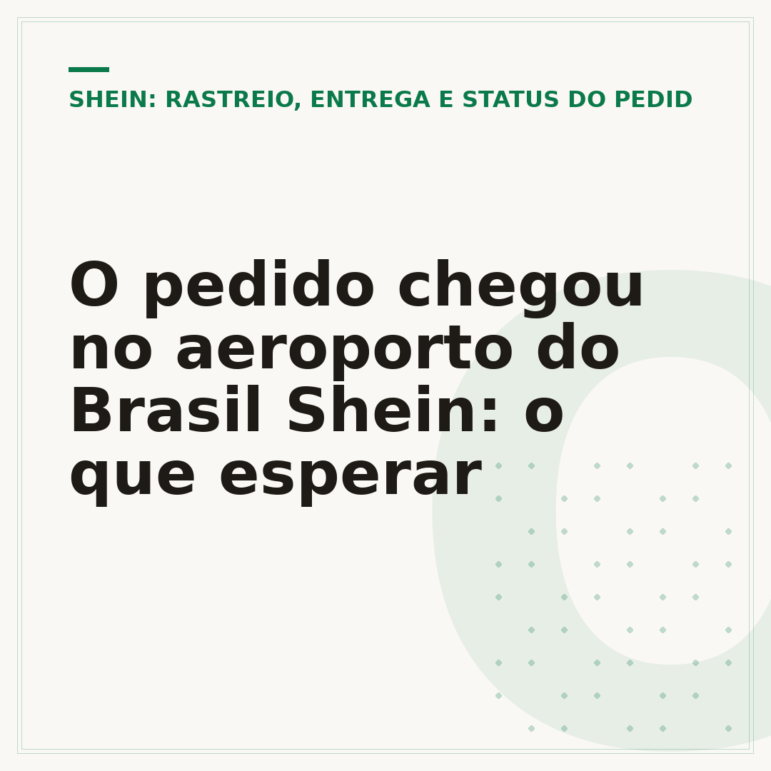 O pedido chegou no aeroporto do Brasil Shein: o que esperar