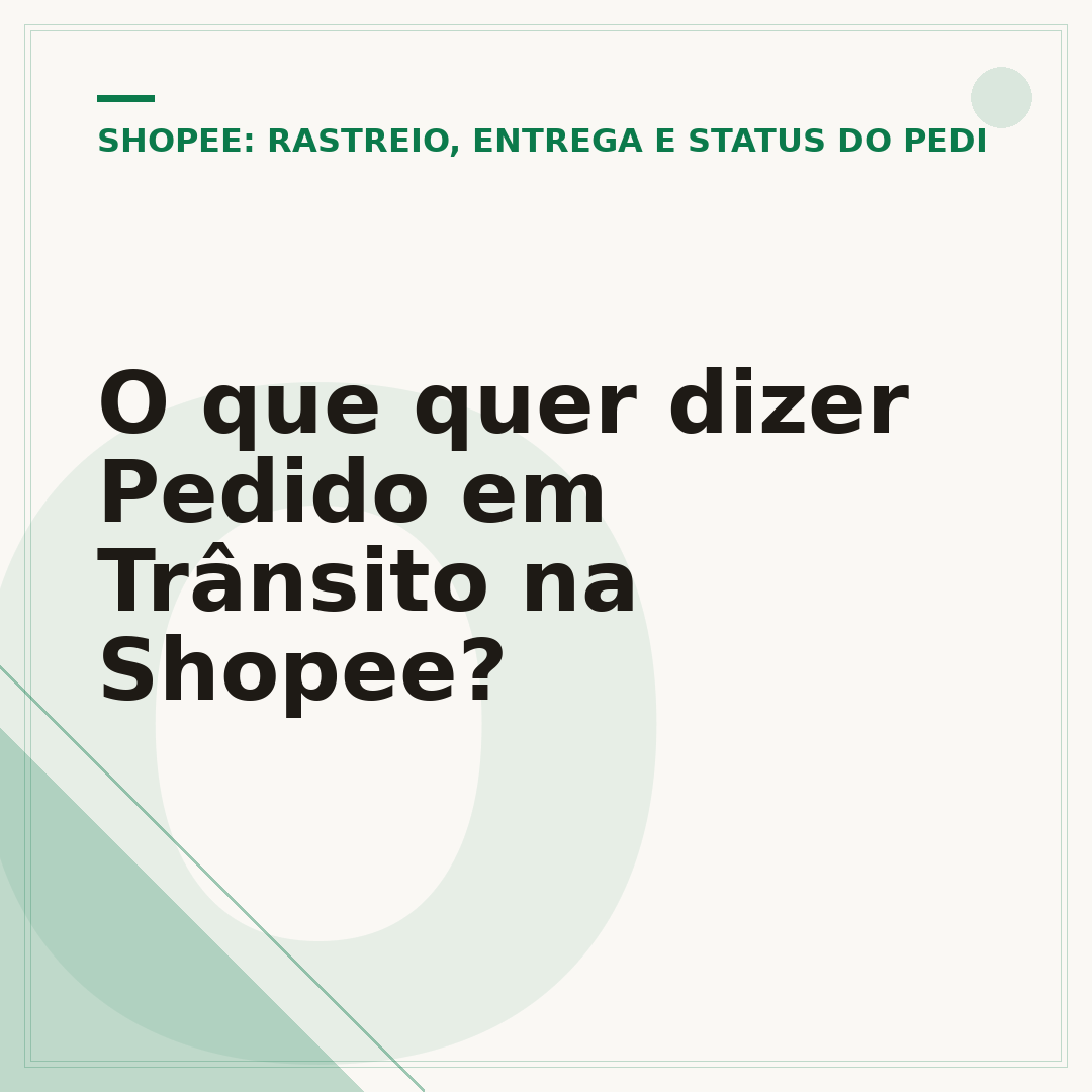 O que quer dizer Pedido em Trânsito na Shopee?