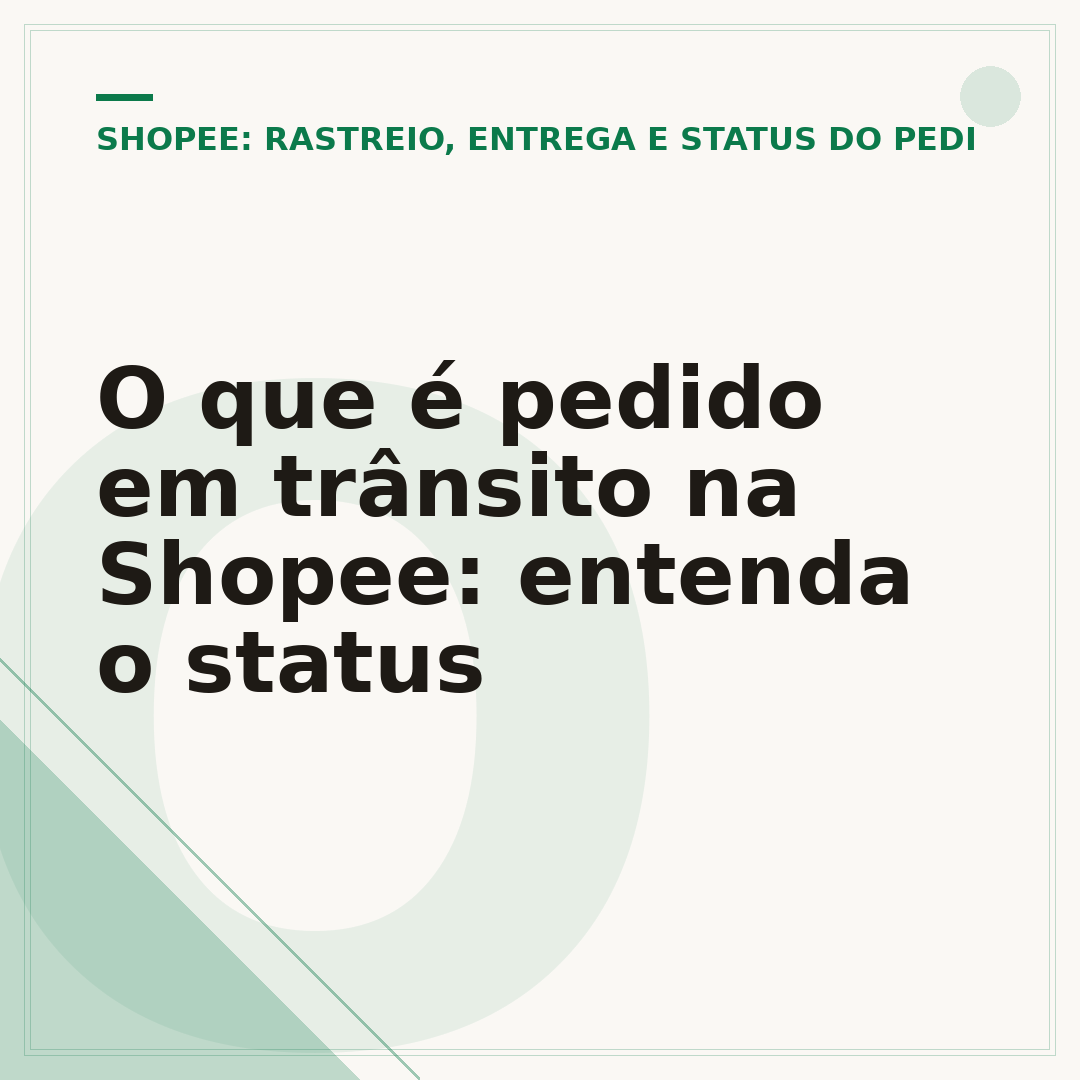 O que é pedido em trânsito na Shopee: entenda o status