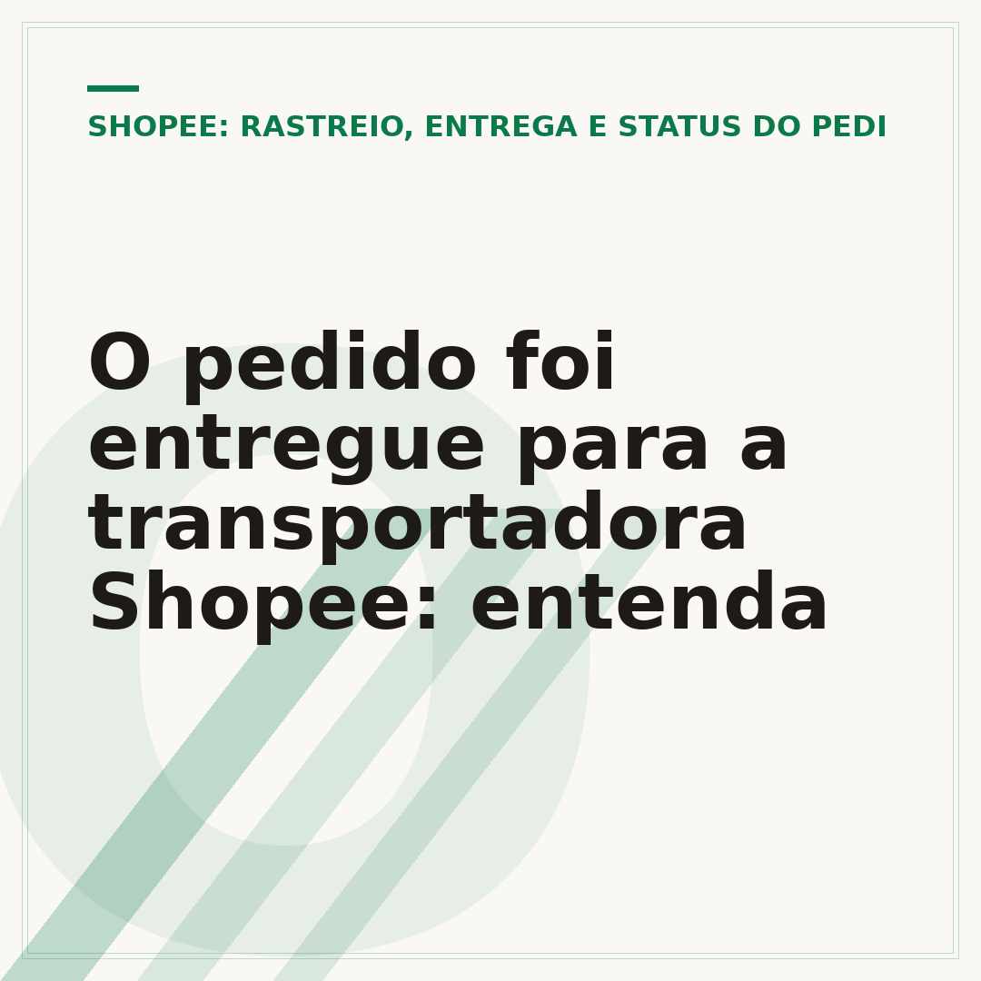 O pedido foi entregue para a transportadora Shopee: entenda