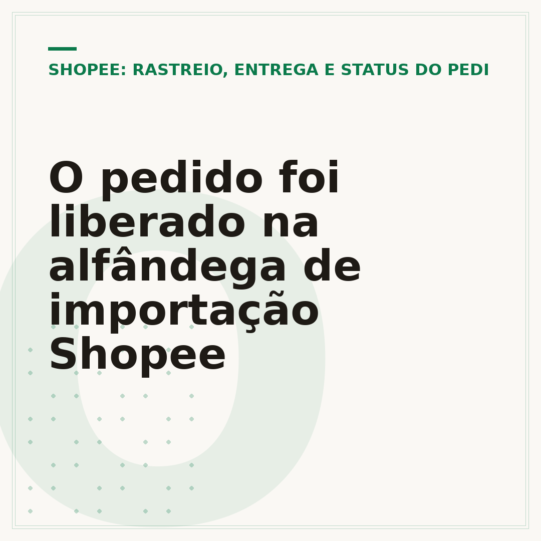 O pedido foi liberado na alfândega de importação Shopee
