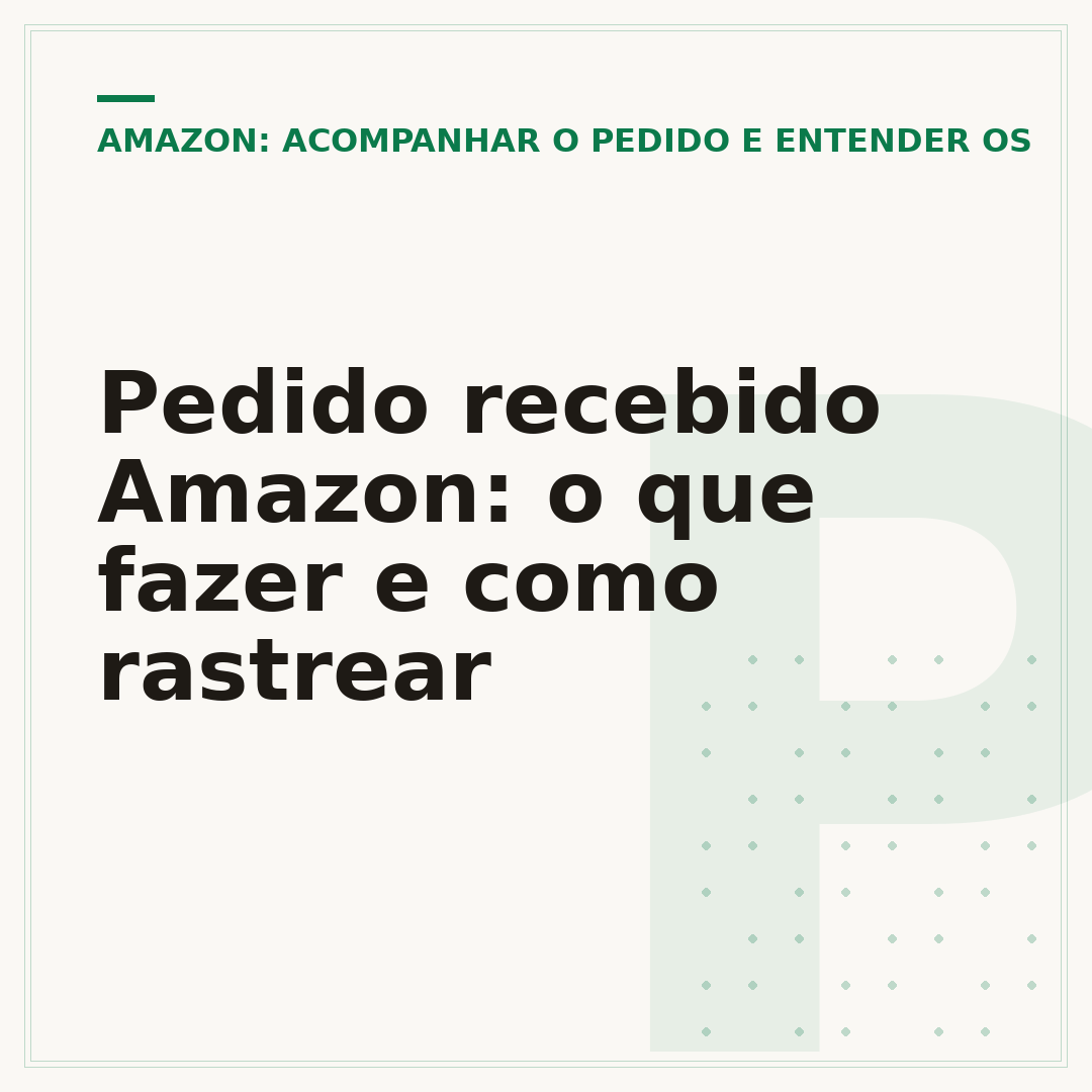 Pedido recebido Amazon: o que fazer e como rastrear