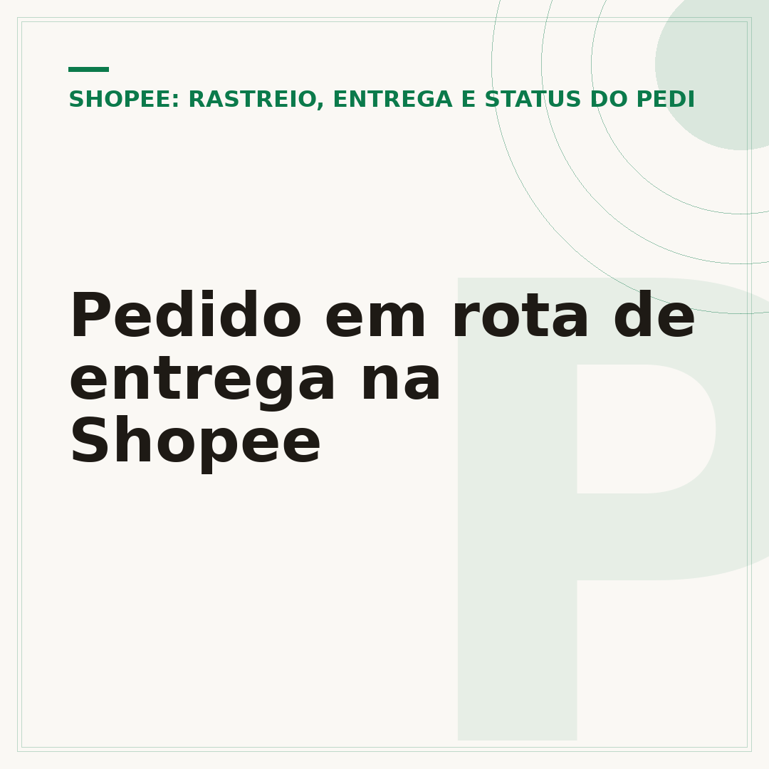 Pedido em rota de entrega na Shopee