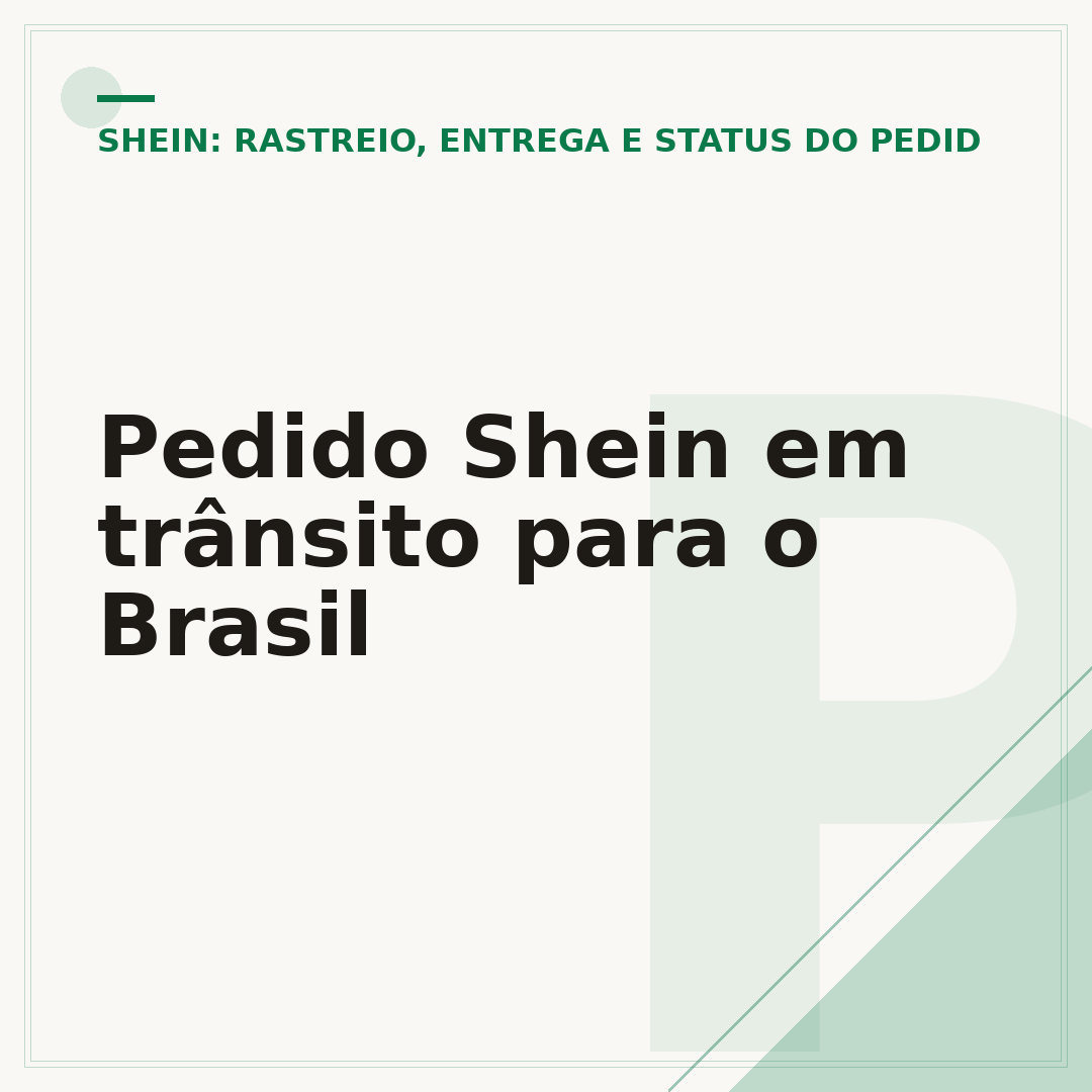Pedido Shein em trânsito para o Brasil